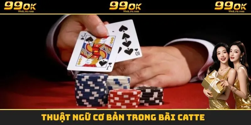 Các thuật ngữ cơ bản thường gặp trong bài Catte