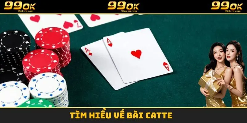Khám phá thông tin cơ bản về bài Catte